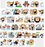 Volume 27: Just having a day dream, here we bring you the <day dream friends category

I am just having a day dream with my new friends, no matter is the little kola bear cuddling with me, or just a cute street dog waving his tail at me. I want to be friends with all of the cuties. Wait, time to wake up, it's just a dream.
