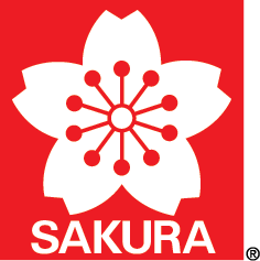 Envelope Art is For Everyone with Jillian Kaye