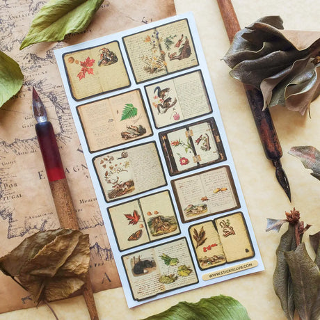 🍂📔 Between the pressed leaves and handwritten notes of these vintage botanical journals lies a treasury of woodland wonders—red squirrels leaping between branches, chipmunks gathering the season’s last feast, and autumn’s palette captured in every petal and frond.