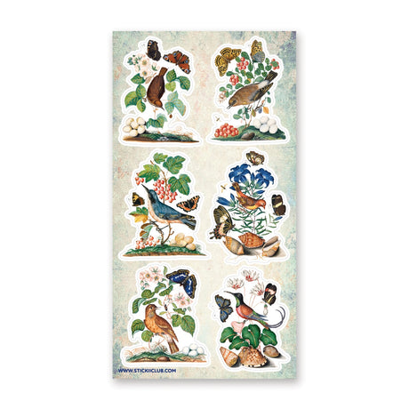 STICKII Bird & Butterfly Watching Sticker Sheet SS1756