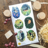 STICKII Songbirds of the Seasons Sticker Sheet