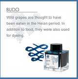 Sailor Professional Gear Slim Manyo 3 Fountain Pen and Ink Set " Persimmon" Limited Edition