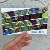 Seaweeds Washi Tape