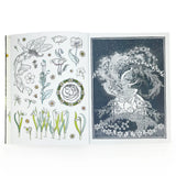 Sticker Emporium: Woodlandia Sticker Book Open book with illustrations of fairies and plants on a white background