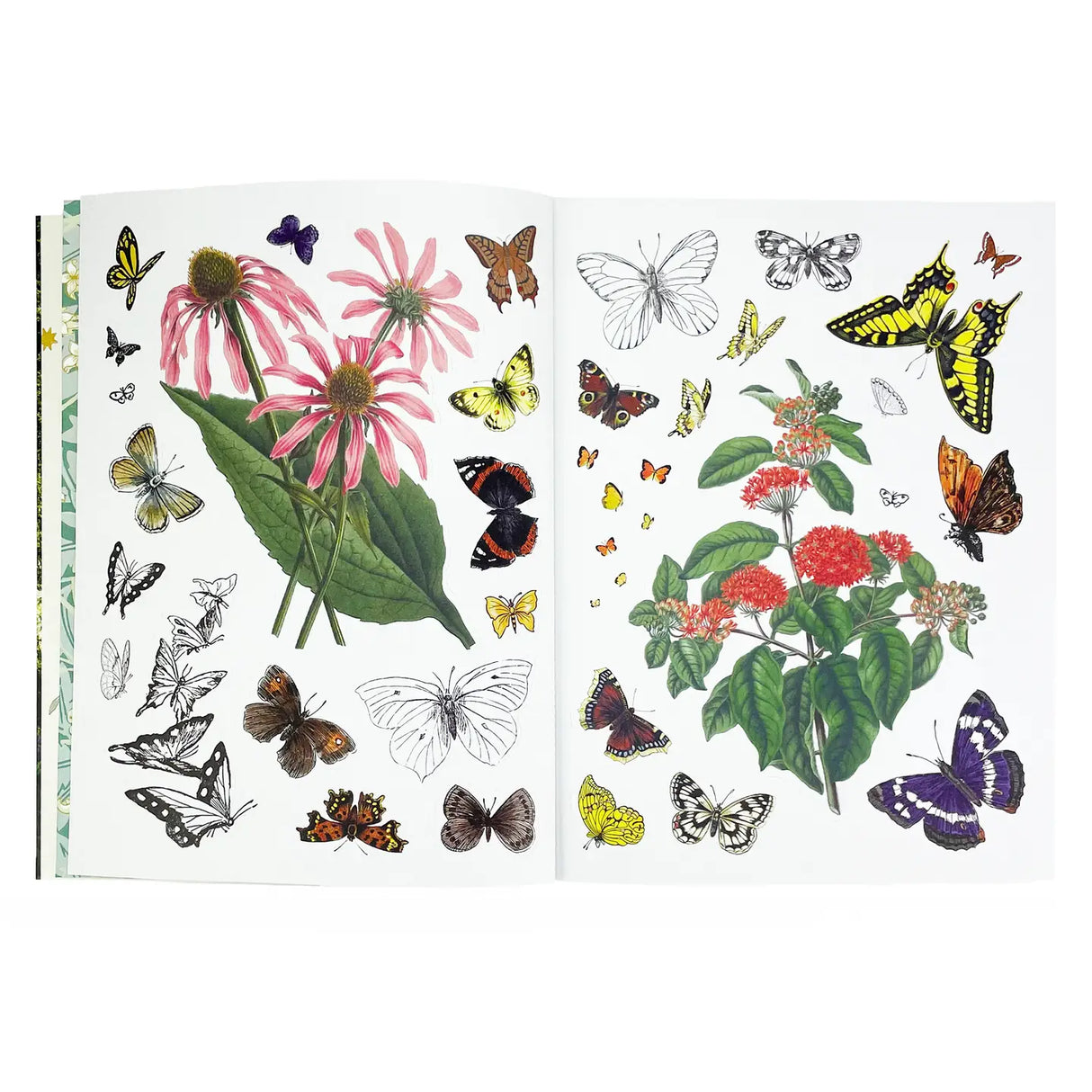 Sticker Emporium: Woodlandia Sticker Book Sticker book with floral and butterfly designs on a white background