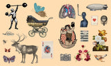 Whether you’re an artist, a decorator, or a sticker collector, Sticker Studio: Arcana will immerse you in creativity and place more than 400 gorgeous, full-color vintage stickers in your hands.