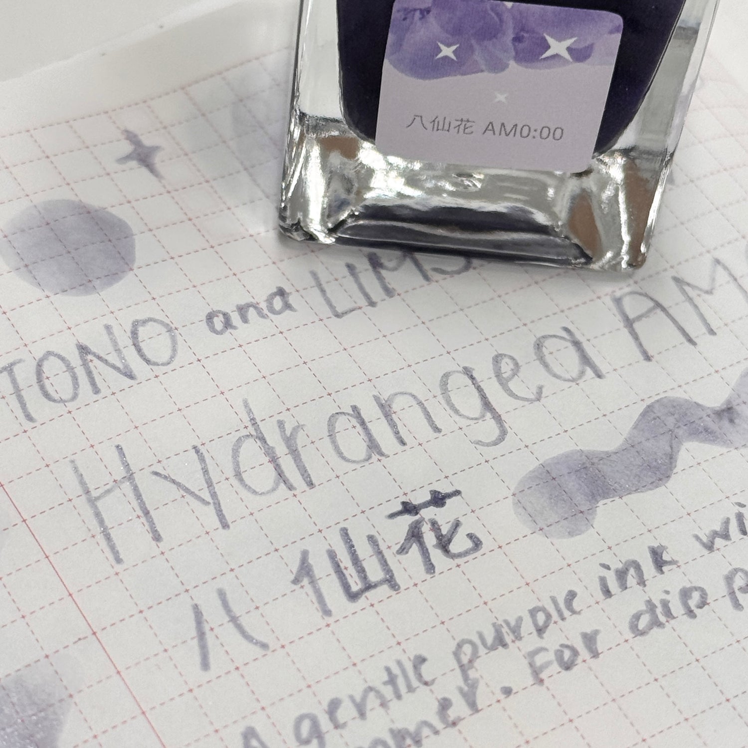 TONO & LIMS Hydrangea - 八仙花 AM0:00 (Hydrangea AM0:00) Ink (Dip Pen Only)