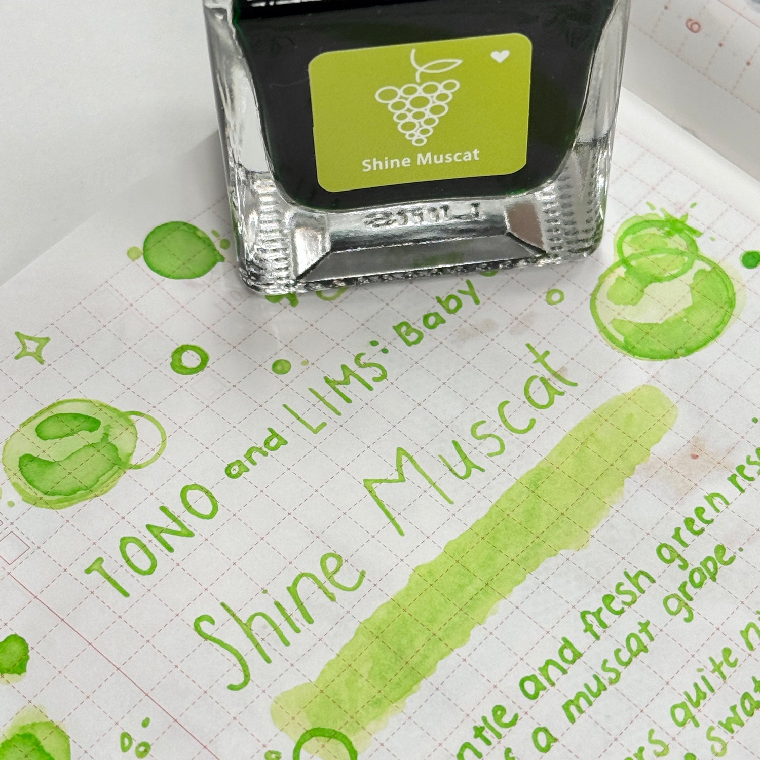 TONO & LIMS Ink - Baby Color - Shine Muscat