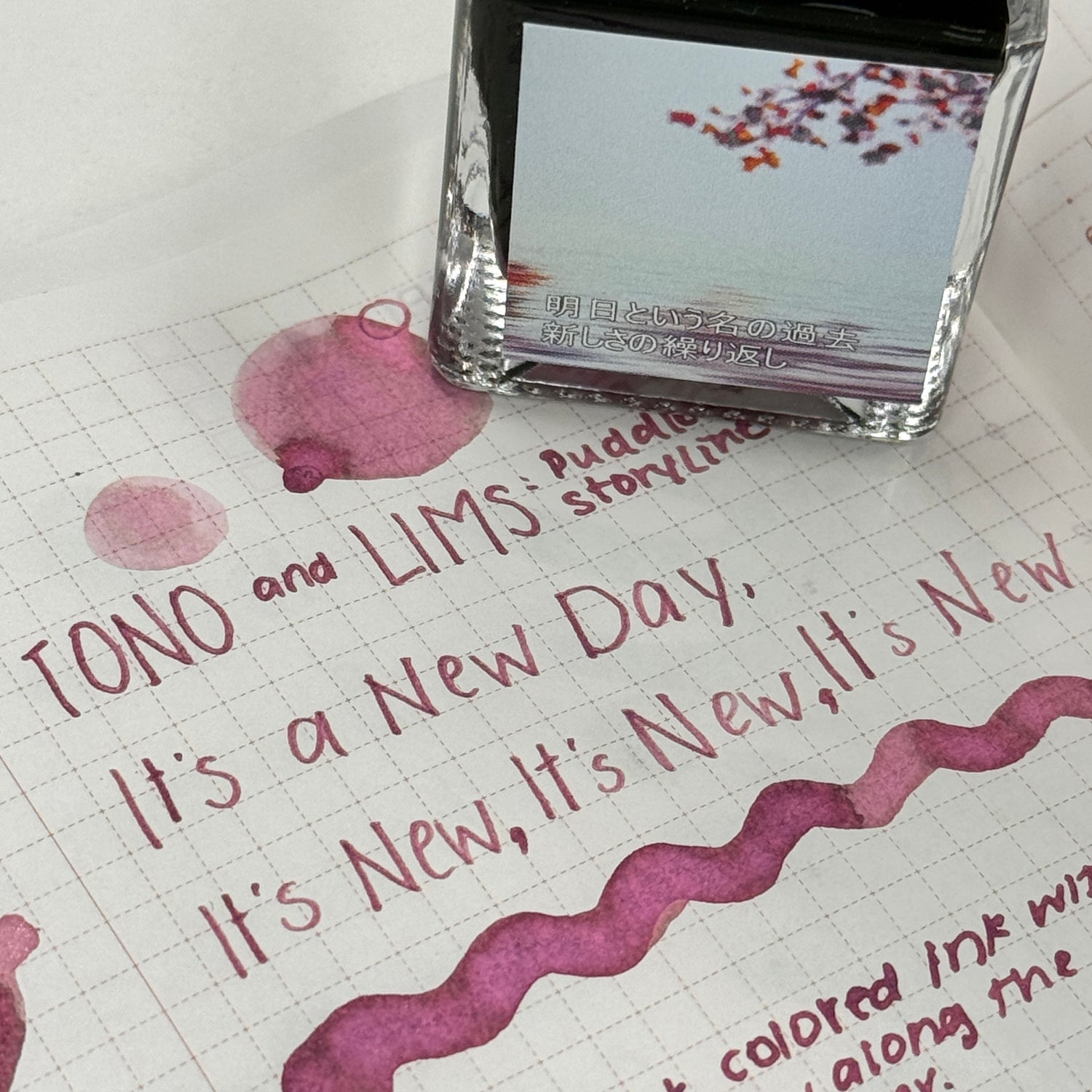 TONO & LIMS Ink - Puddle Story - It's a New Day, It's New