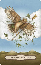 From New York Times bestselling illustrator Jessica Roux comes a tarot deck and guidebook to accompany her beloved Woodland Wardens Oracle. Enter Roux’s enchanted world and deepen your relationship to the Wardens, all within the timeless framework of the Rider-Waite-Smith tarot.

The Tarot of the Woodland Wardens elegantly captures the magic of flora and fauna through the major and minor arcana. 