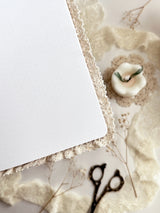 Teddy Bear Notebook A5 - Dot