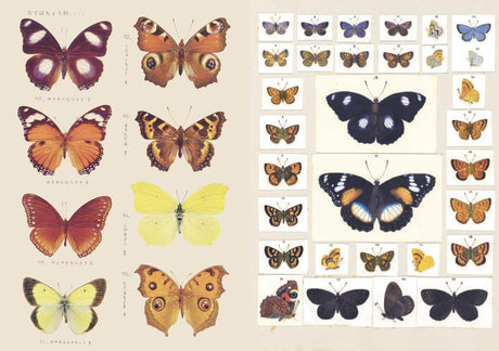 With hundreds of sticky curiosities ready to beautify your junk journal or collage, this book is the perfect companion to The Ransom Note Sticker Book. This cute little sticker book is packed with extraordinary images that can be used for scrapbooks, journals, collaging, and many other creative pursuits.

The stickers are all vintage illustrations. There are 40 spreads of stickers, over 600 altogether, presented in categories and interspersed with quirky vintage backgrounds. Examples include: Vintage cute t