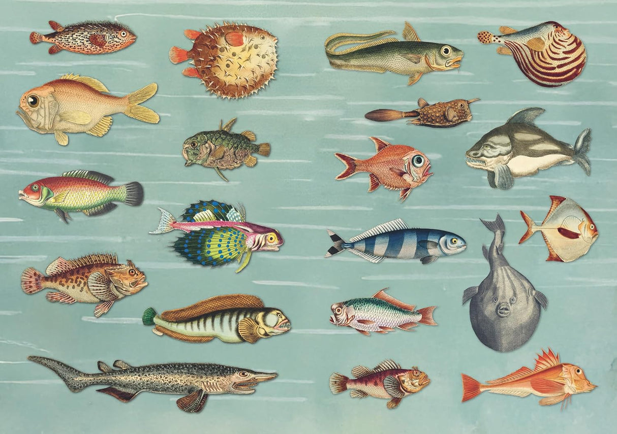 With hundreds of sticky curiosities ready to beautify your junk journal or collage, this book is the perfect companion to The Ransom Note Sticker Book. This cute little sticker book is packed with extraordinary images that can be used for scrapbooks, journals, collaging, and many other creative pursuits.

The stickers are all vintage illustrations. There are 40 spreads of stickers, over 600 altogether, presented in categories and interspersed with quirky vintage backgrounds. Examples include: Vintage cute t