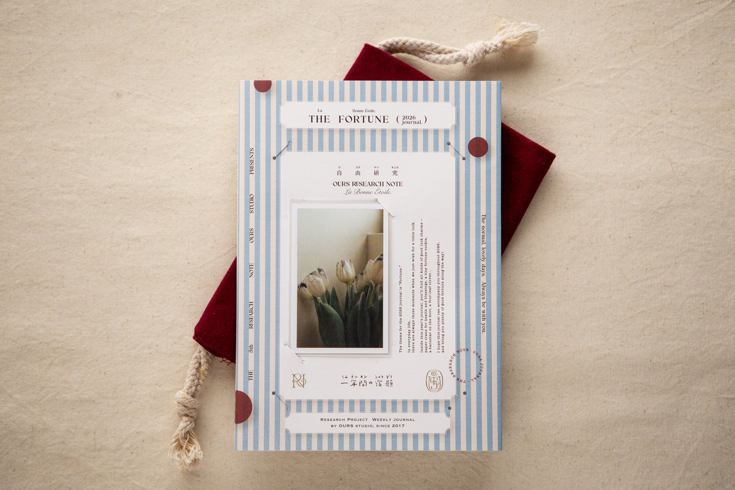 The Fortune OURS 2026 Research Project Journal The Fortune Tulip