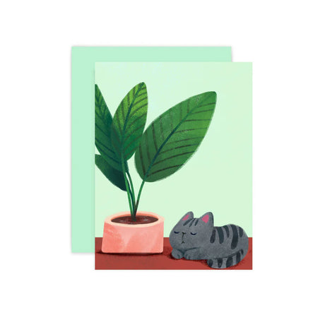 This card illustration features&nbsp;gray cat with dark stripes sleeping curled up next to a large leafy potted houseplant with a pale green background

Single card includes 1 folded card + 1 matching envelope
Blank inside

Dimensions: 4.25 x 5.5 inch
Designed and illustrated by Aggie Cheung for The Little Red House