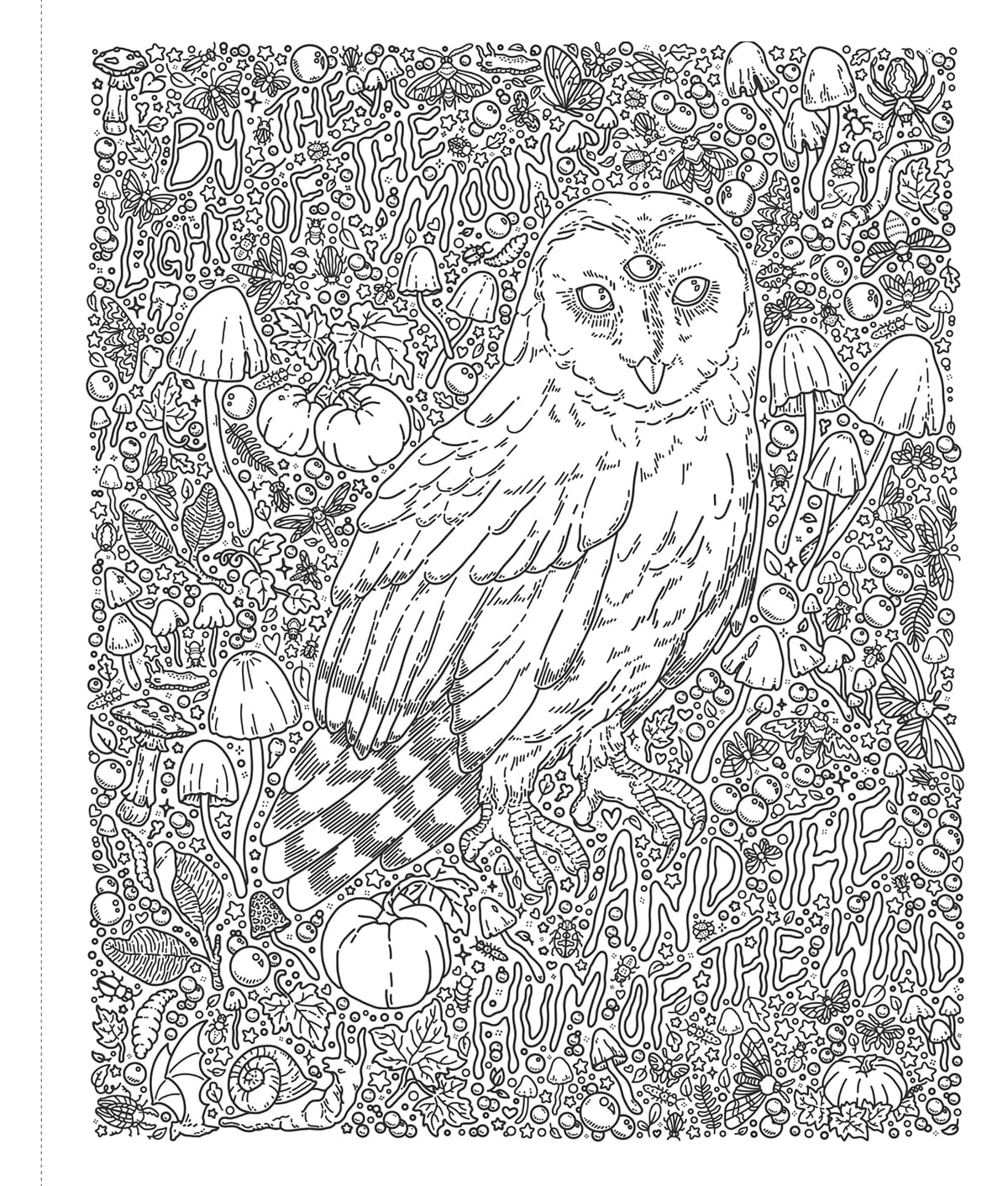 Calling all lovers of eerie aesthetics! This is your invitation to enter a delightfully dark world of pretty poisons, curious crystals, moon bunnies, freaky frogs, magical moths, mystical mushrooms, haunted trinkets, and unbound body parts. Each collage-style page of The Spooky Doodle Club Coloring Book is packed with hand drawn details waiting to be brought to life (or maybe even back from the dead) with a rainbow of colors.