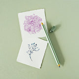 Tom's Studio - Lumos Pro Duo Refillable Pen - Sage