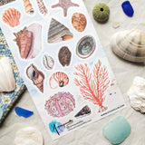 🐚🌊 Drift ashore into @annaquarelles’s beautiful collection of seaside treasures. Delicate seashells, branching coral, a rosy sea urchin, and a sparkling starfish come together like keepsakes gathered from a walk along the coast. Painted with soft watercolor detail and full of natural ocean charm, this sheet will bring a splash of coastal magic to your pages.

Art by: @annaquarelles