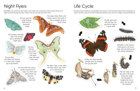 Ultimate Butterfly Sticker Book with 100 Amazing Stickers By Armadillo Press