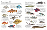 Ultimate Fish & Sea Life Sticker Book with 100 Amazing Stickers By Armadillo Press