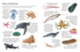 Ultimate Fish & Sea Life Sticker Book with 100 Amazing Stickers By Armadillo Press