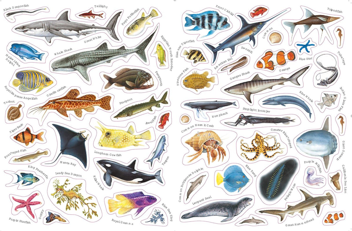 Ultimate Fish & Sea Life Sticker Book with 100 Amazing Stickers By Armadillo Press