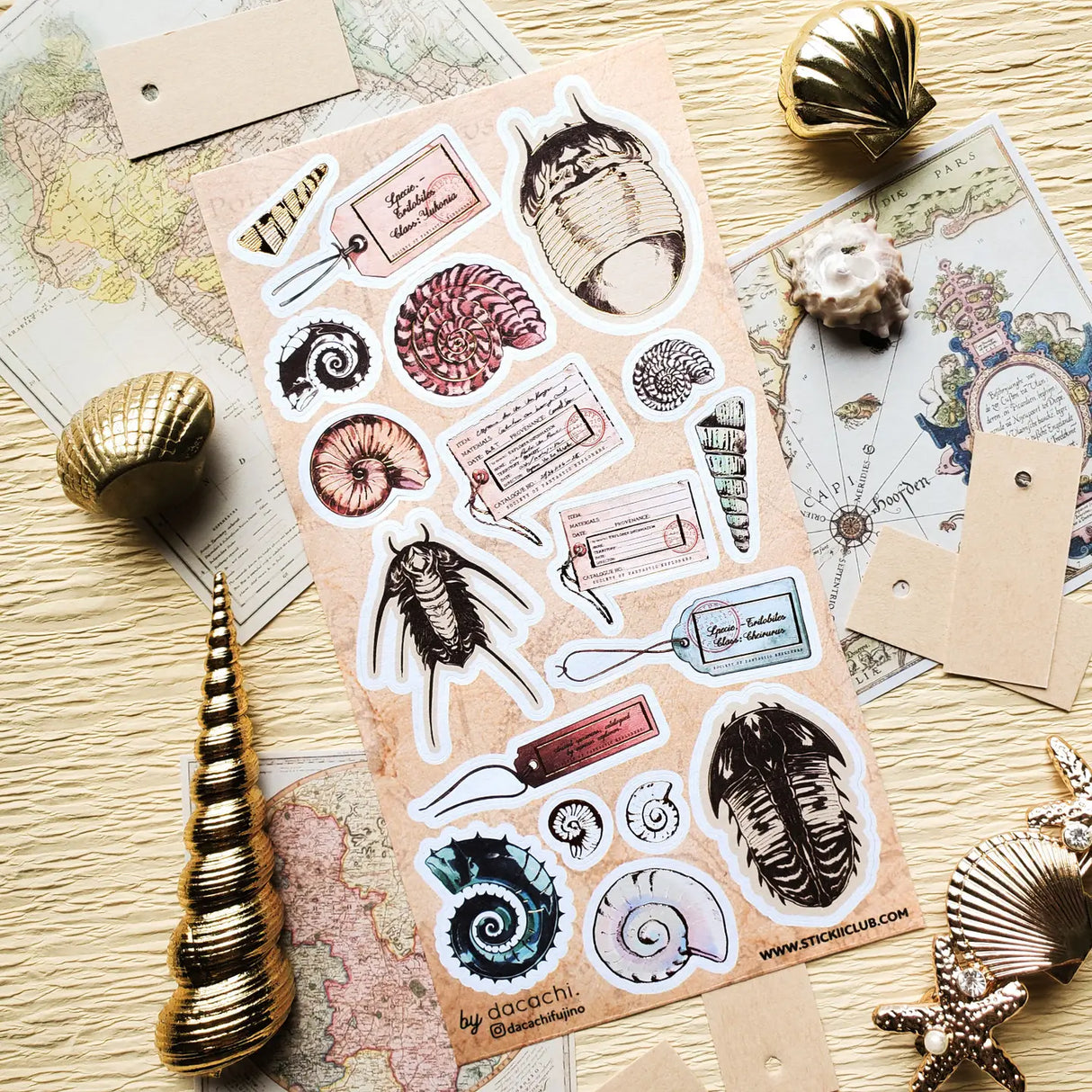 🌀🔍 Catalogued from the depths of some fantastical seaside archive, @dacachifujino’s curious specimens are like discoveries from a mysterious ocean museum. From spiraled shells and ancient trilobites to handwritten tags and explorer notes, this sheet was made for anyone who loves their natural history with a dash of wonder.

Art by: @dacachifujino