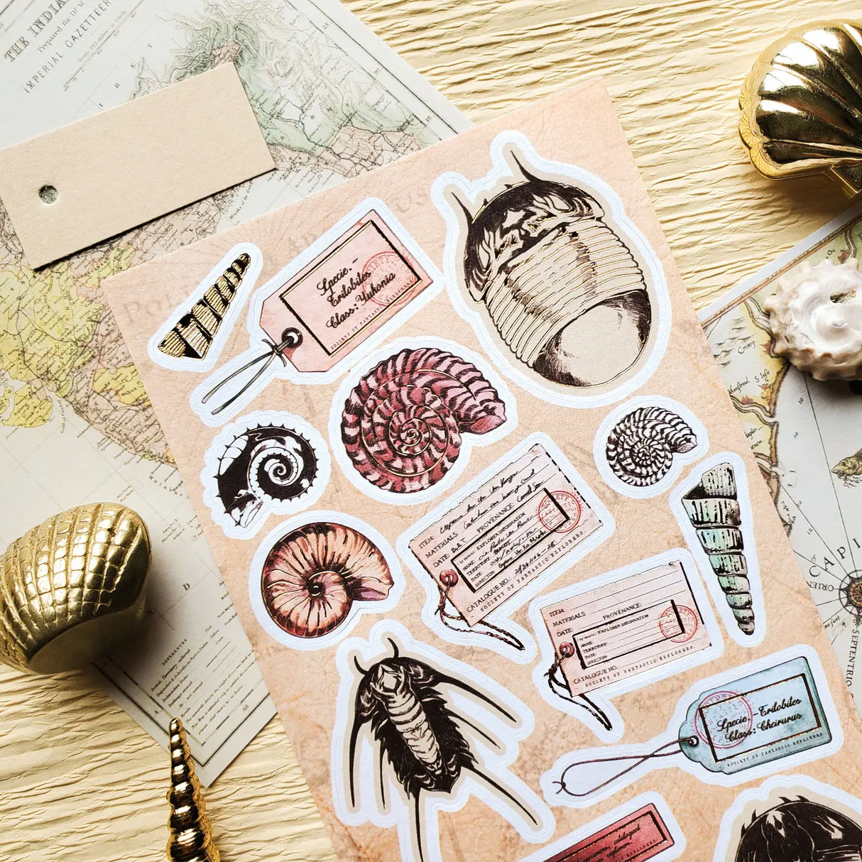 🌀🔍 Catalogued from the depths of some fantastical seaside archive, @dacachifujino’s curious specimens are like discoveries from a mysterious ocean museum. From spiraled shells and ancient trilobites to handwritten tags and explorer notes, this sheet was made for anyone who loves their natural history with a dash of wonder.

Art by: @dacachifujino