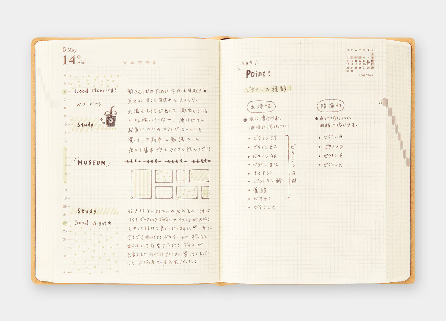 Midori Diary Hibino 2026 A6