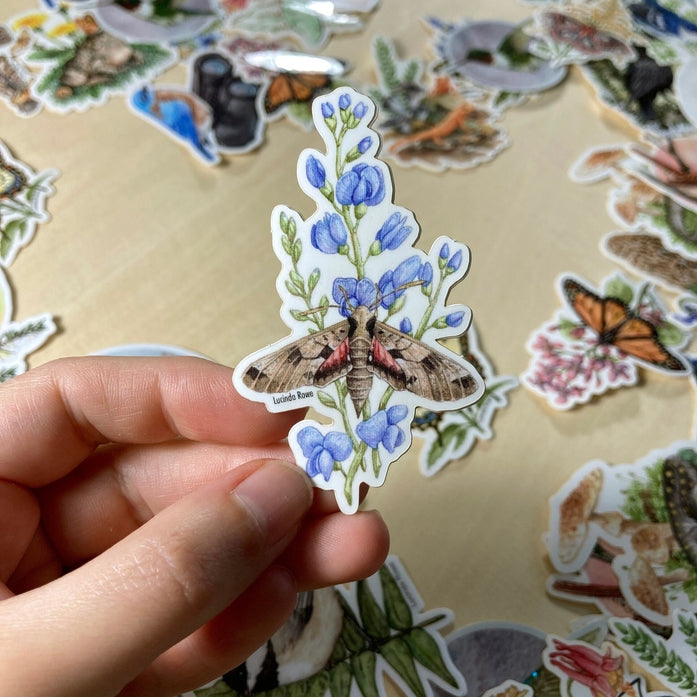 Achemon Sphinx Moth On Wild Indigo Vinyl Sticker