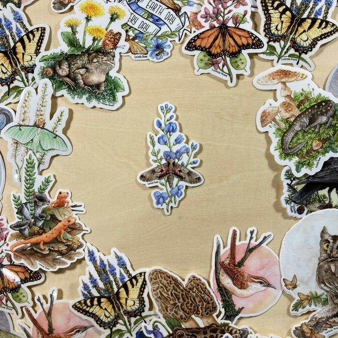 Pegatina de vinilo de la polilla esfinge de Achemon sobre índigo salvaje 