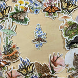 Pegatina de vinilo de la polilla esfinge de Achemon sobre índigo salvaje 