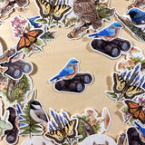 Eastern Bluebird On Binoculars Vinyl Sticker