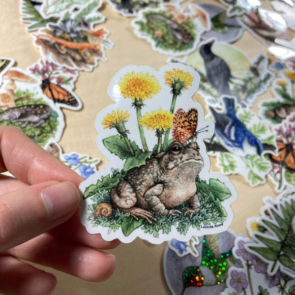 Fowler's Toad with Dandelions and Butterfly Vinyl Sticker