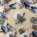 Screech Owl with Moths Vinyl Sticker