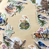 Pegatina de vinilo con salamandra moteada y hongos colorados 