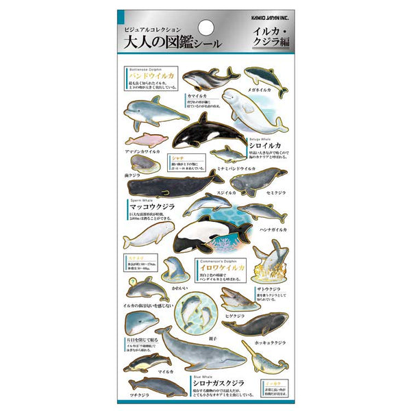 Adult's Illustrated Book Whale & Dolphin Sticker
