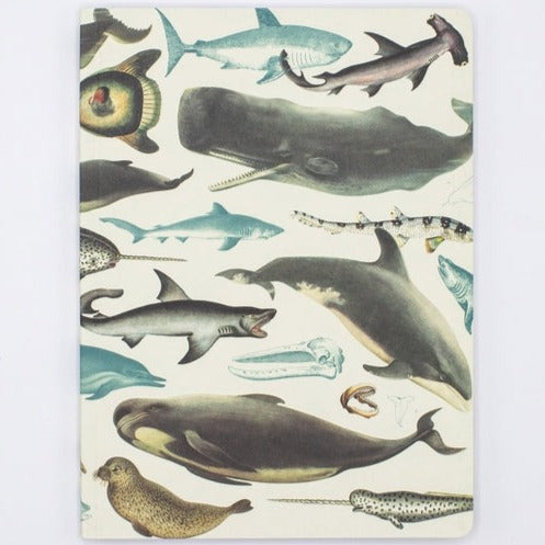 Whales & Seals Softcover Notebook - Lined Pages