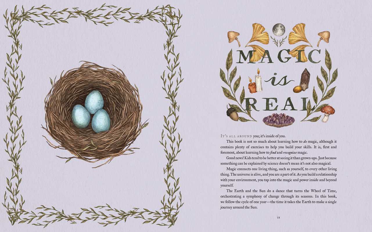 A beautifully illustrated, interactive guide to ancient, nature-based holidays and customs. Through themed meditations, crafts, and rituals, young readers can learn about old and new ways of honoring the seasons—and create their own!

Blending nature connection with art, poetry, and myth, The Wheel of the Year conveys the magic and beauty of ancient traditions and encourages young family members to notice, care for, and celebrate the natural world around them. A thoughtful reference and gift book suitable f