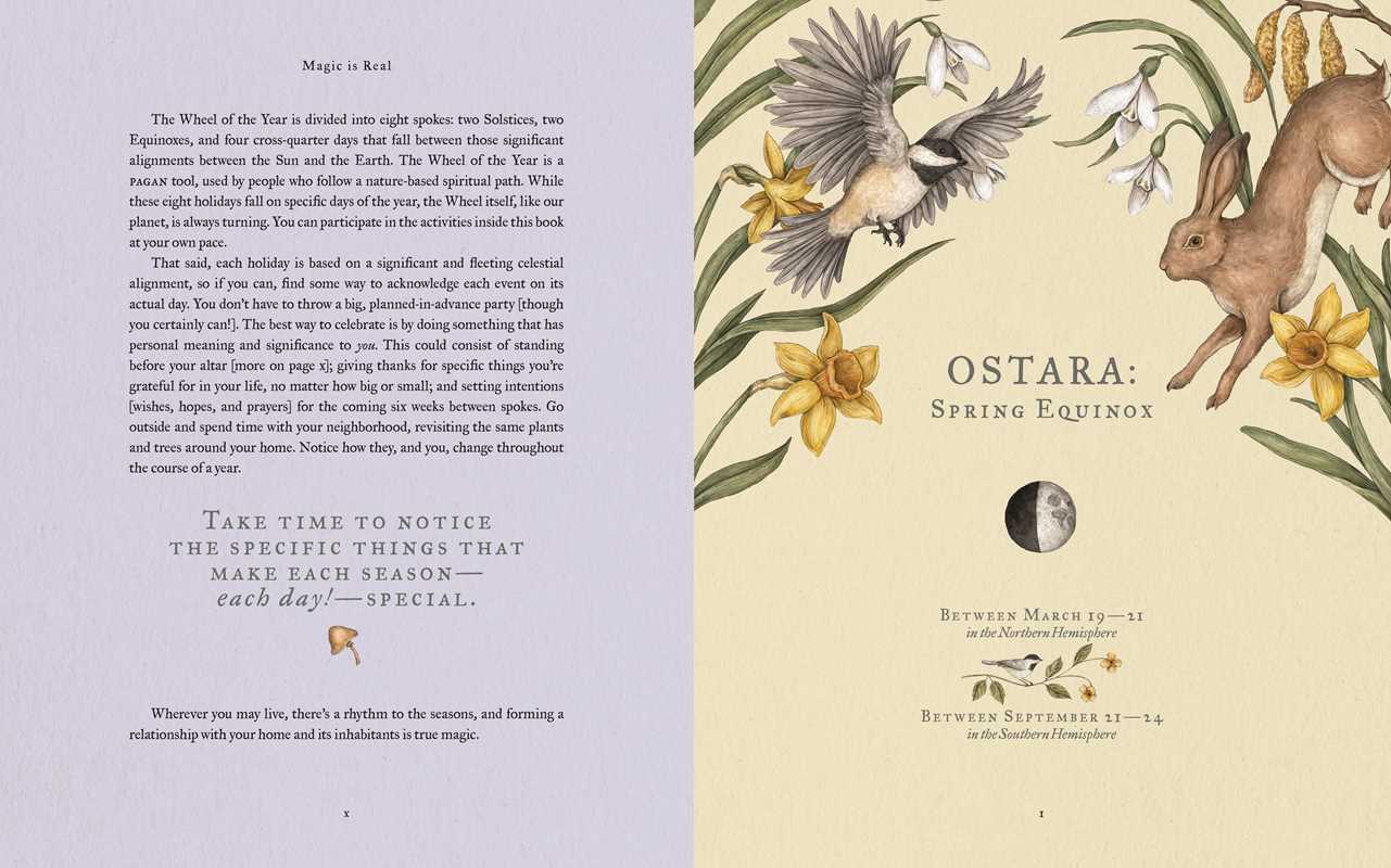 A beautifully illustrated, interactive guide to ancient, nature-based holidays and customs. Through themed meditations, crafts, and rituals, young readers can learn about old and new ways of honoring the seasons—and create their own!

Blending nature connection with art, poetry, and myth, The Wheel of the Year conveys the magic and beauty of ancient traditions and encourages young family members to notice, care for, and celebrate the natural world around them. A thoughtful reference and gift book suitable f