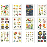 Cavallini & Co. Vintage Wildflowers Tin of Stickers