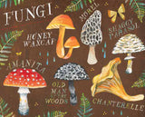 With Love, Adventure, and Wildflowers Notes