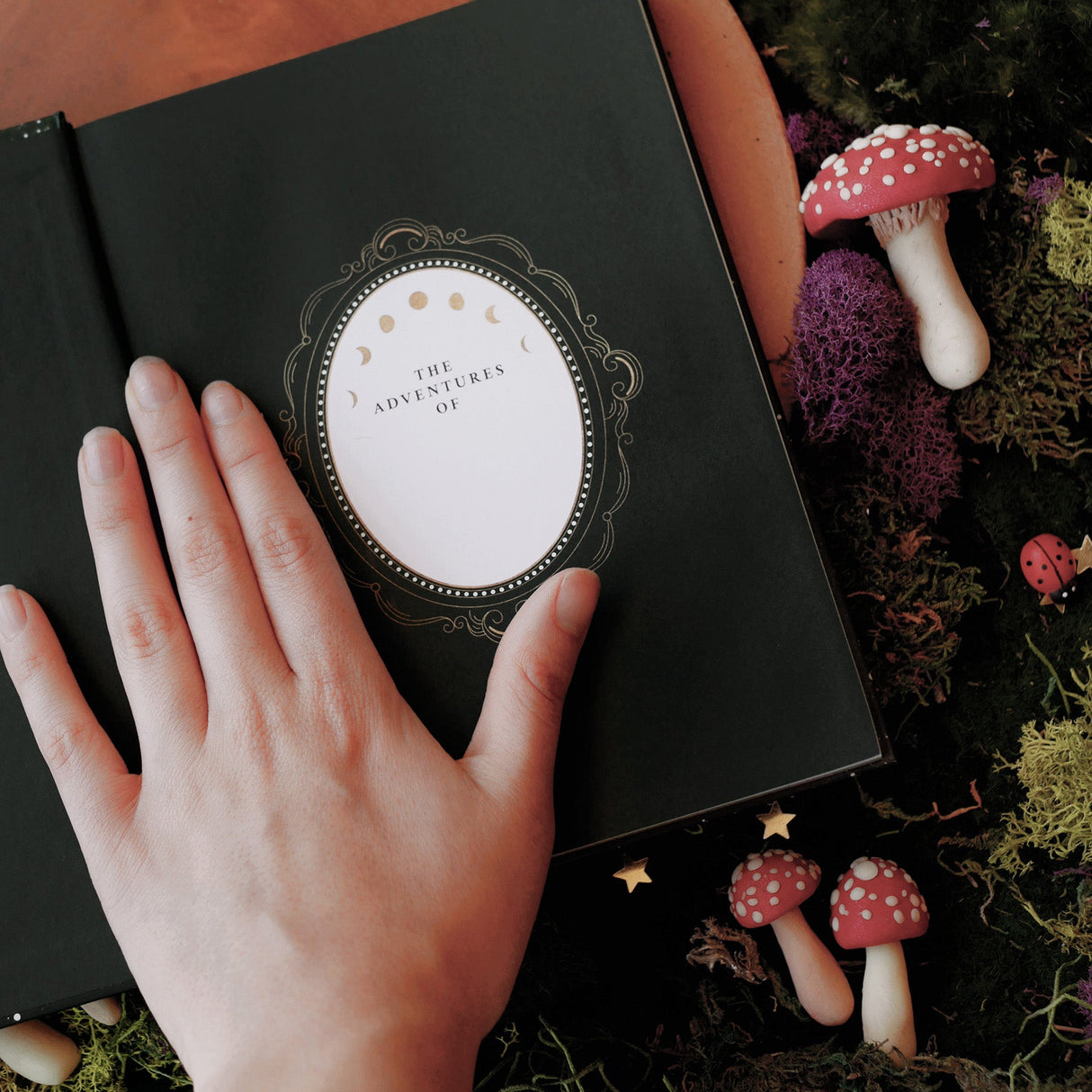 Diario del país de las maravillas