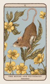 Woodland Wardens 52-Card Oracle Deck & Guidebook By Jessica Roux