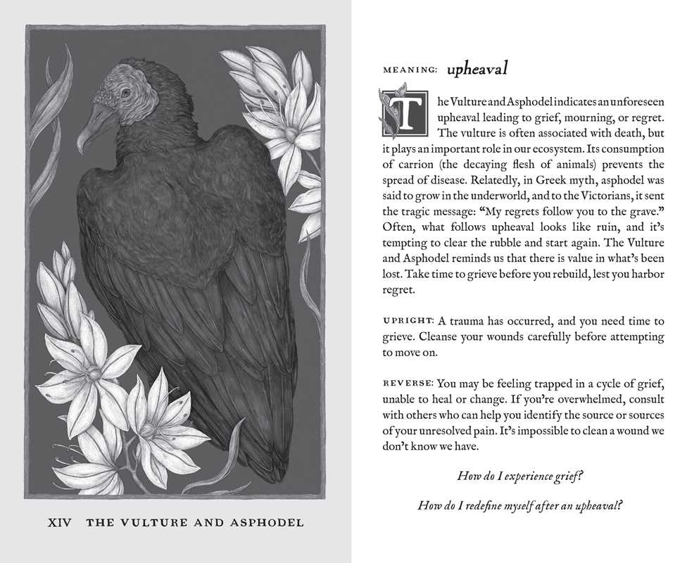 Woodland Wardens 52-Card Oracle Deck & Guidebook By Jessica Roux