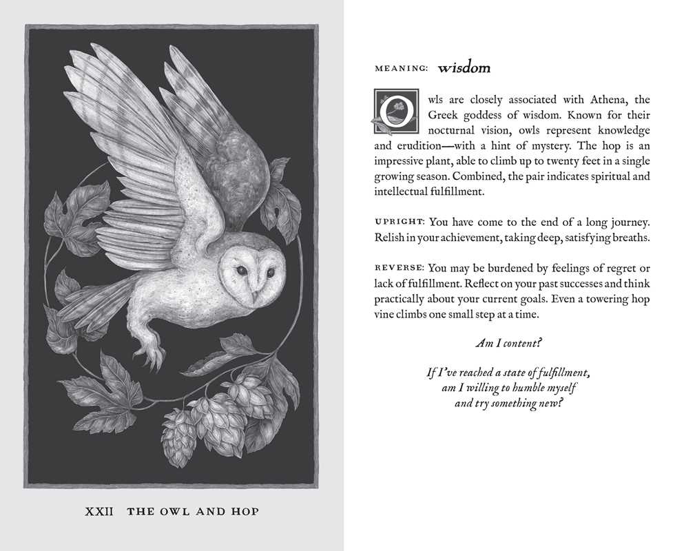 Woodland Wardens 52-Card Oracle Deck & Guidebook By Jessica Roux