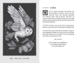 Woodland Wardens 52-Card Oracle Deck & Guidebook By Jessica Roux