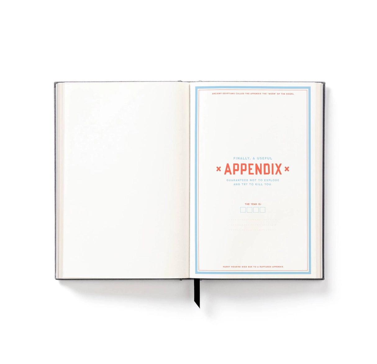 Brass Monkey the Perpetually Late Show Undated Standard Planner