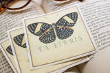 Black Butterfly Bookplate Sticker