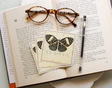 Black Butterfly Bookplate Sticker